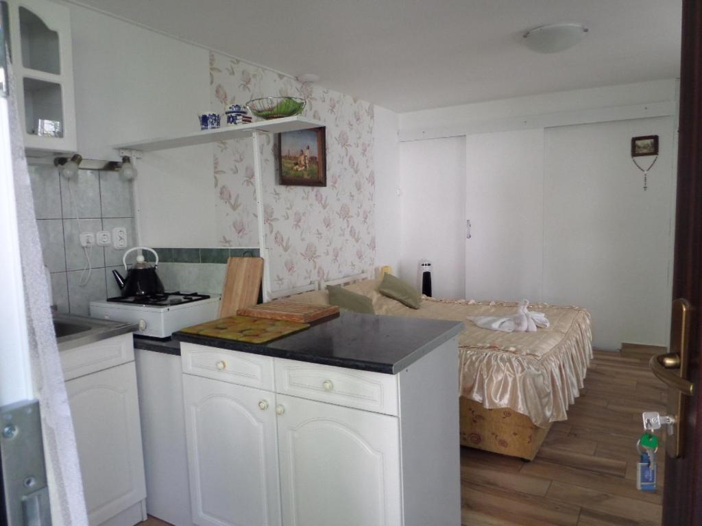 Bori Apartmanok Hajdúszoboszló Εξωτερικό φωτογραφία